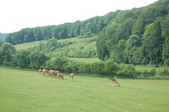 DSC_0144 [50%] [50%].JPG